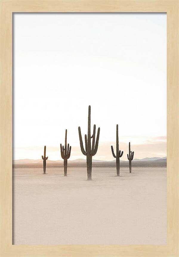 Desert Sunrise With Silhouetted Saguaro