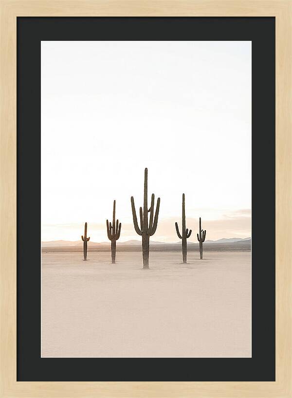 Desert Sunrise With Silhouetted Saguaro