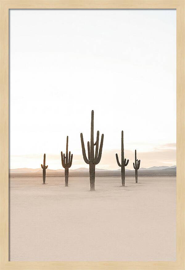 Desert Sunrise With Silhouetted Saguaro