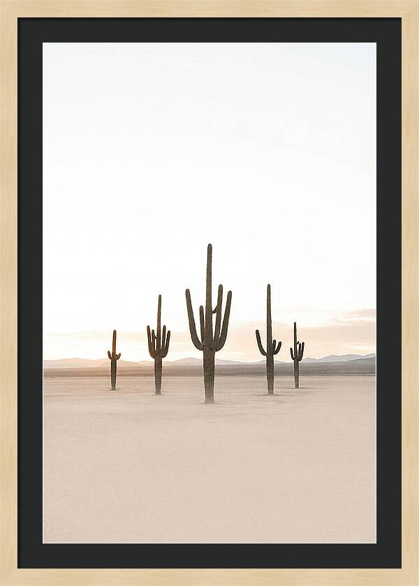 Desert Sunrise With Silhouetted Saguaro