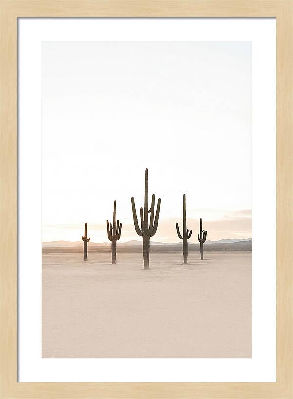 Desert Sunrise With Silhouetted Saguaro