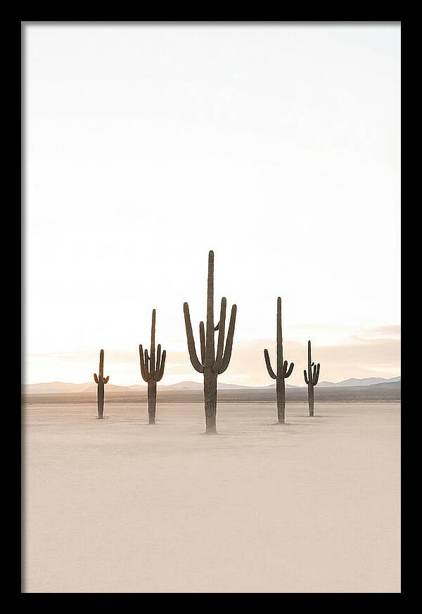 Desert Sunrise With Silhouetted Saguaro