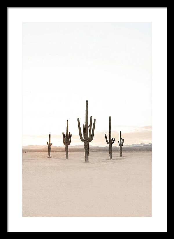 Desert Sunrise With Silhouetted Saguaro