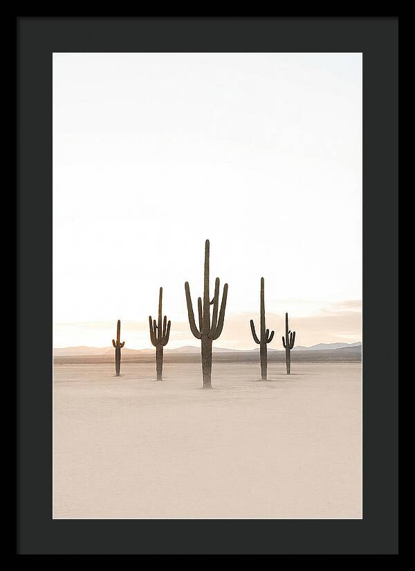 Desert Sunrise With Silhouetted Saguaro