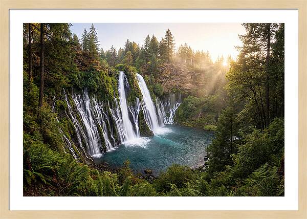 Desoto Falls Serenity