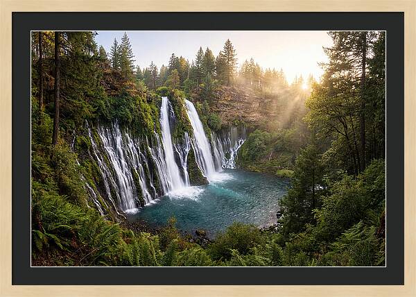 Desoto Falls Serenity