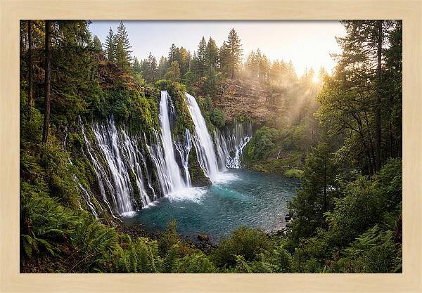 Desoto Falls Serenity
