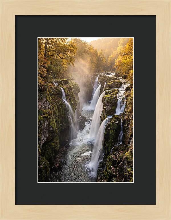 Devils Kettle Waterfall Serenity