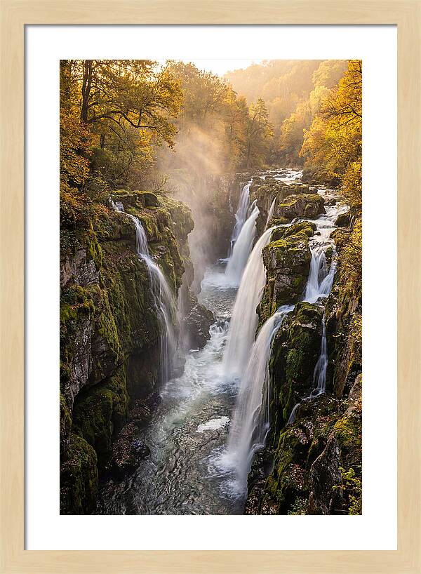 Devils Kettle Waterfall Serenity