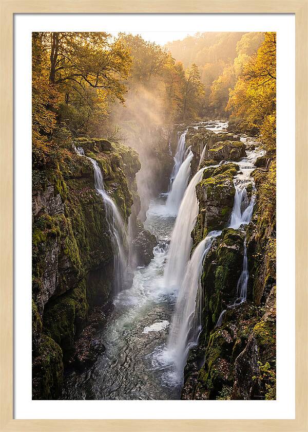 Devils Kettle Waterfall Serenity