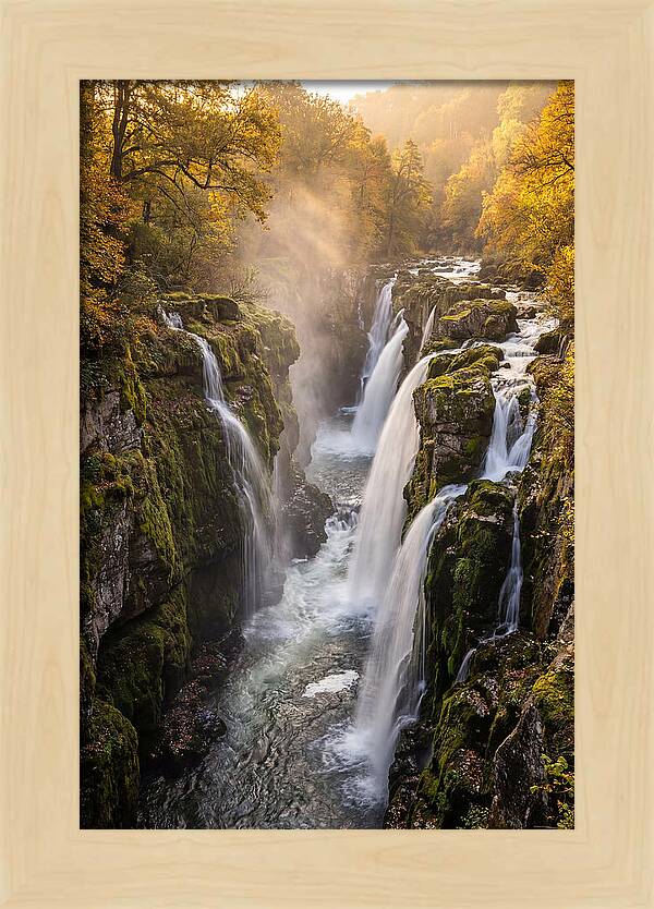 Devils Kettle Waterfall Serenity