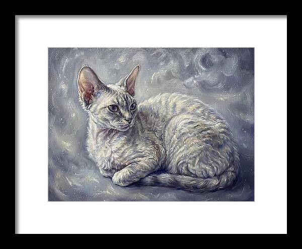 Devon Rex Cat