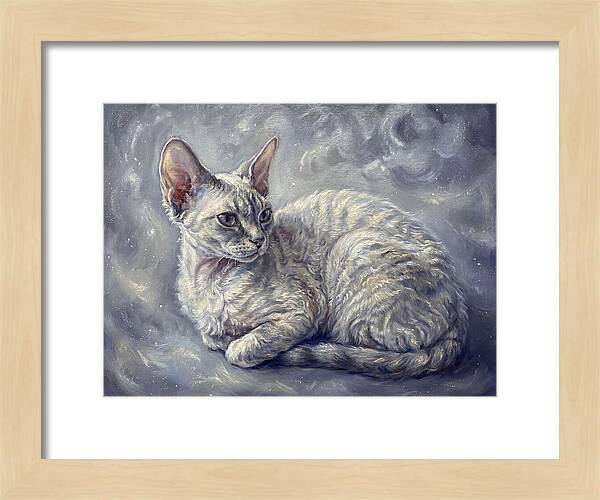 Devon Rex Cat