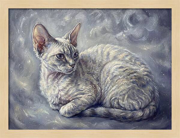 Devon Rex Cat