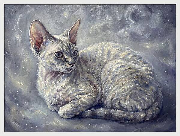 Devon Rex Cat