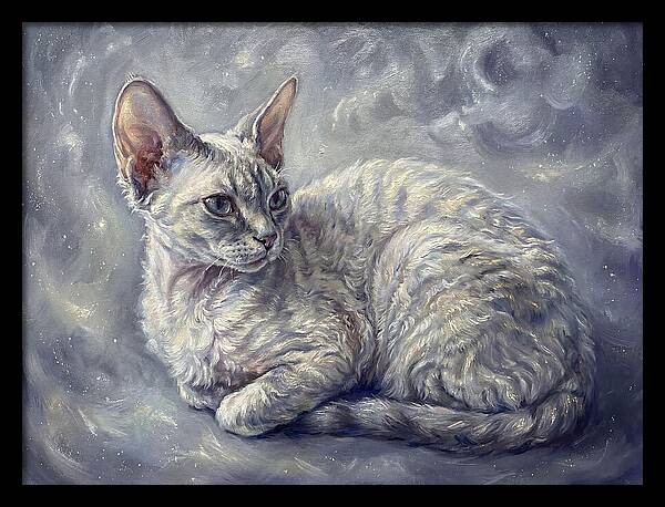 Devon Rex Cat