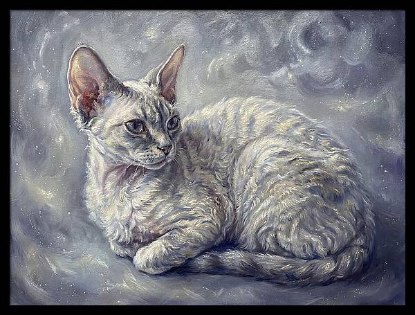 Devon Rex Cat