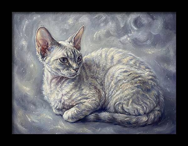 Devon Rex Cat