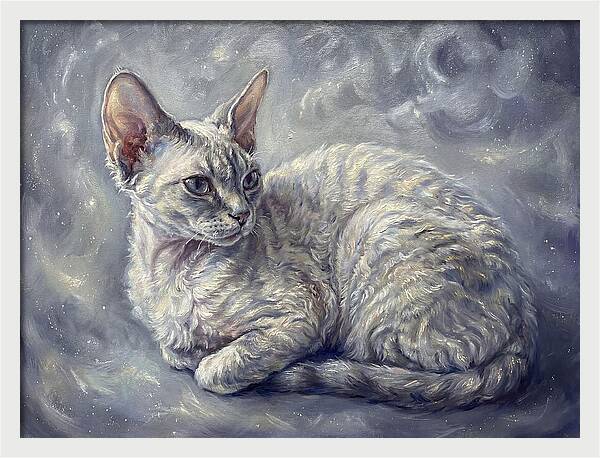 Devon Rex Cat