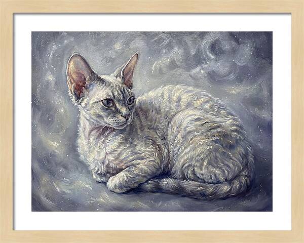 Devon Rex Cat