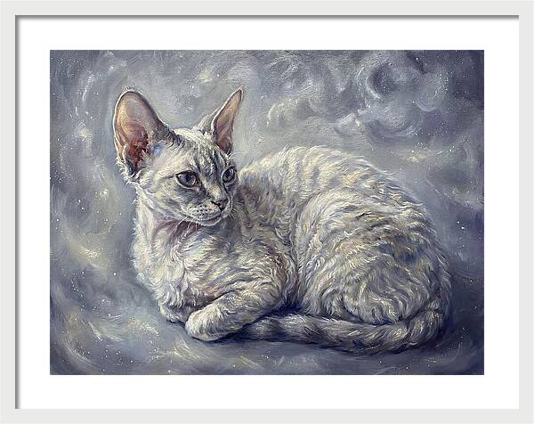 Devon Rex Cat
