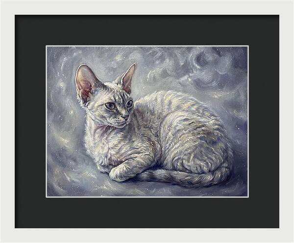 Devon Rex Cat