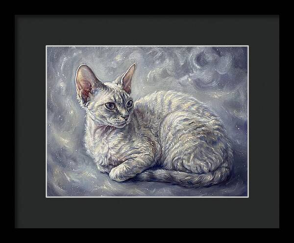 Devon Rex Cat