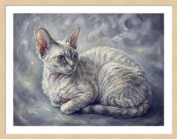 Devon Rex Cat