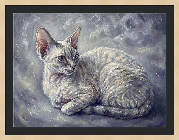 Devon Rex Cat