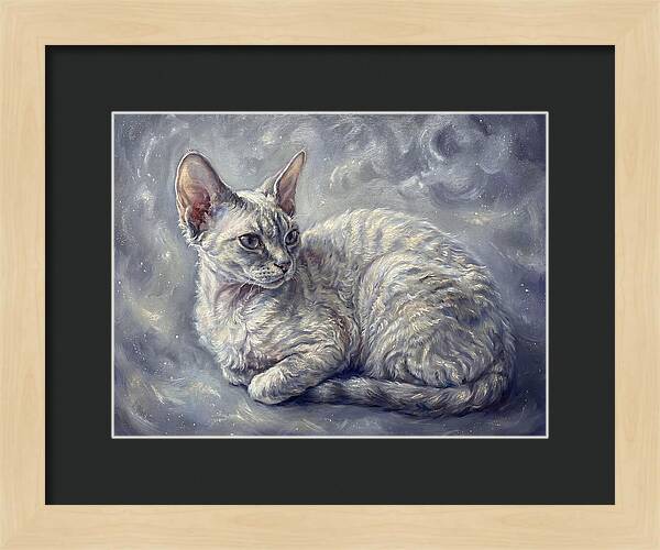 Devon Rex Cat