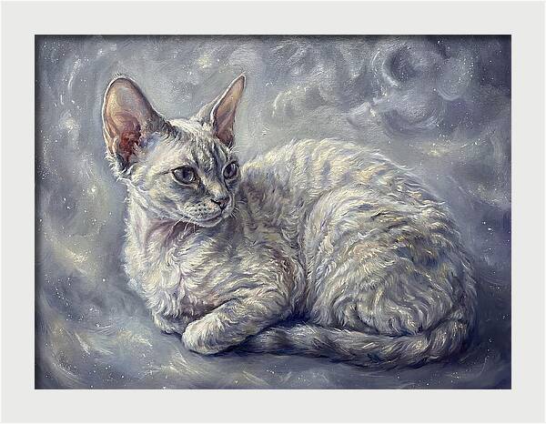 Devon Rex Cat