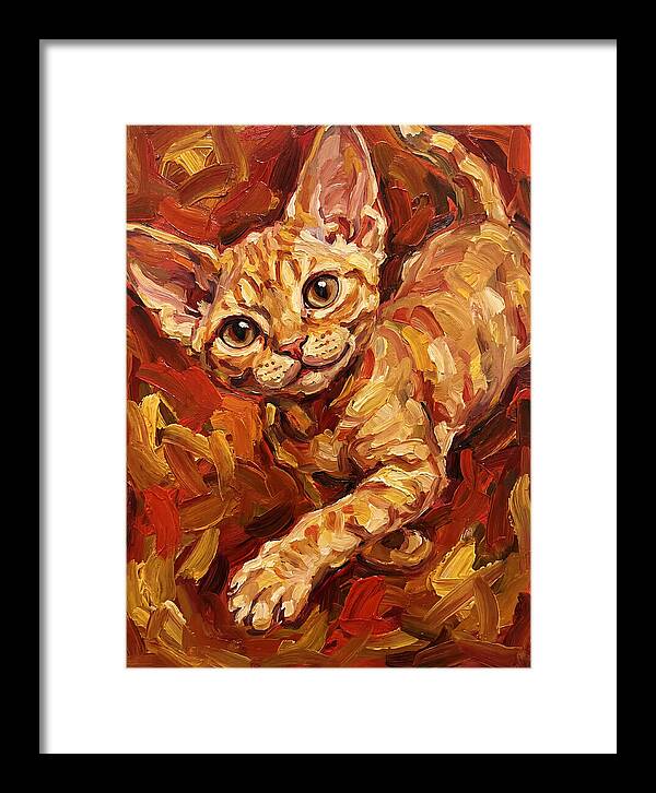 Devon Rex Delight