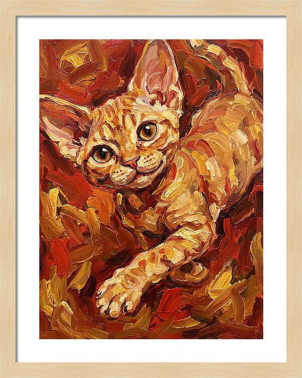 Devon Rex Delight