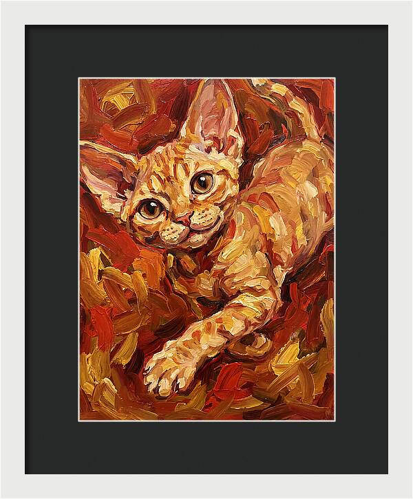 Devon Rex Delight