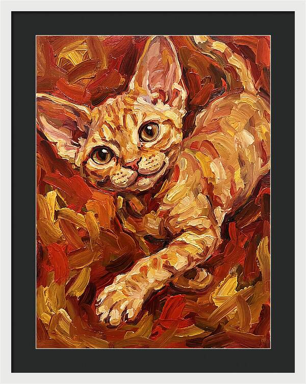 Devon Rex Delight