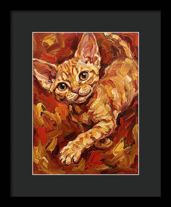 Devon Rex Delight