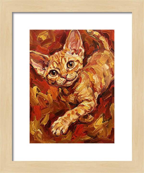 Devon Rex Delight