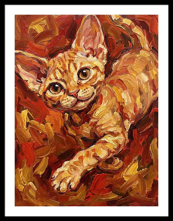 Devon Rex Delight