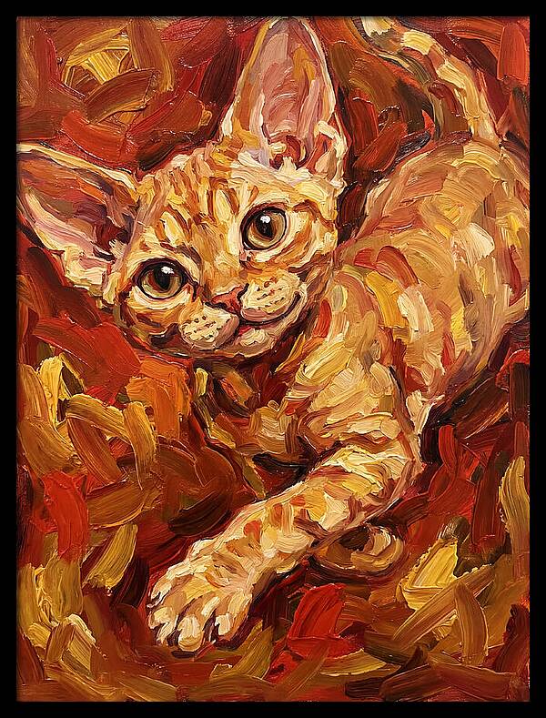 Devon Rex Delight
