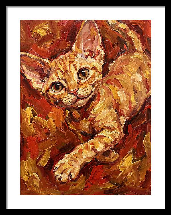 Devon Rex Delight