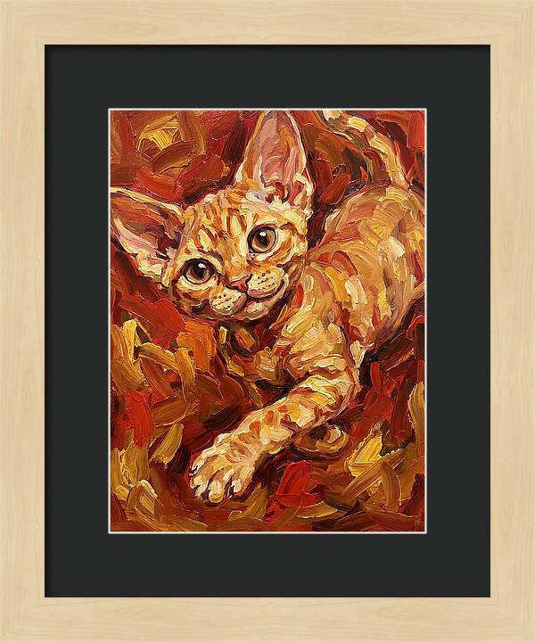 Devon Rex Delight