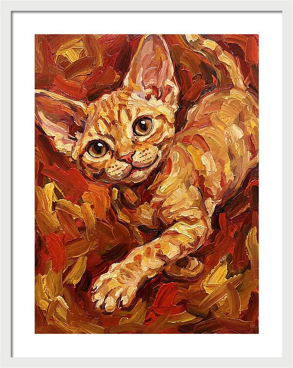 Devon Rex Delight