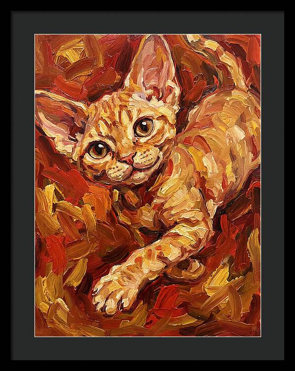 Devon Rex Delight