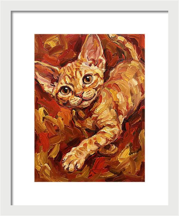 Devon Rex Delight