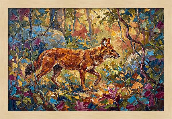 Dhole In A Mediterranean Landscape