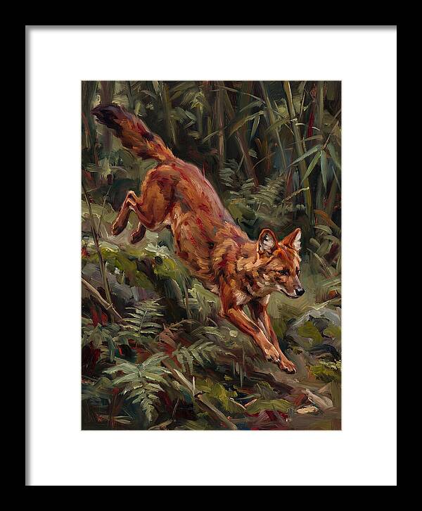 Dhole In Motion