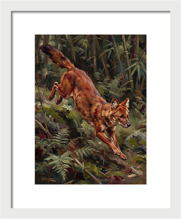 Dhole In Motion