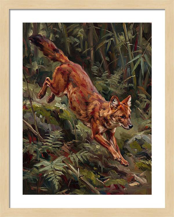Dhole In Motion