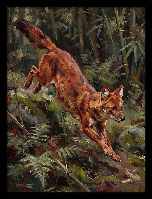 Dhole In Motion