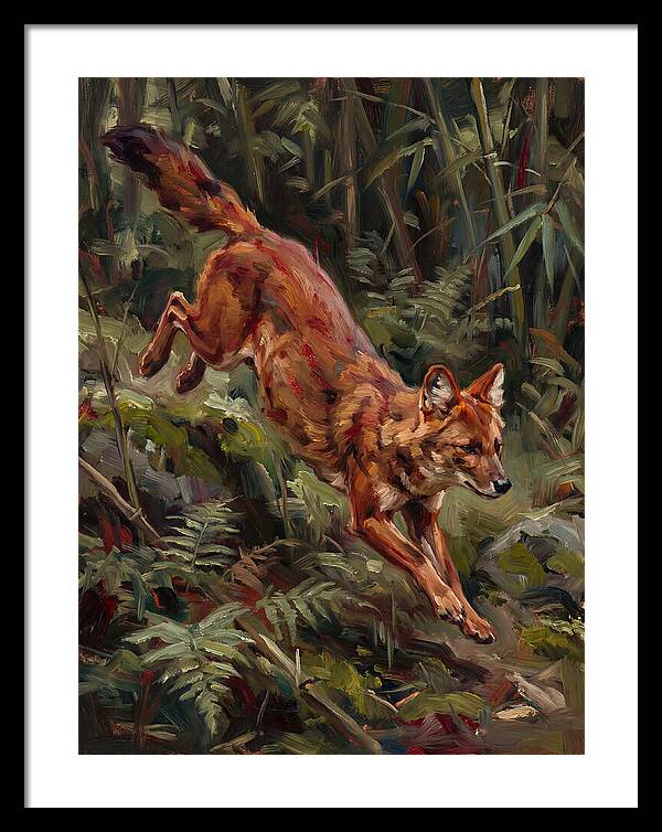 Dhole In Motion